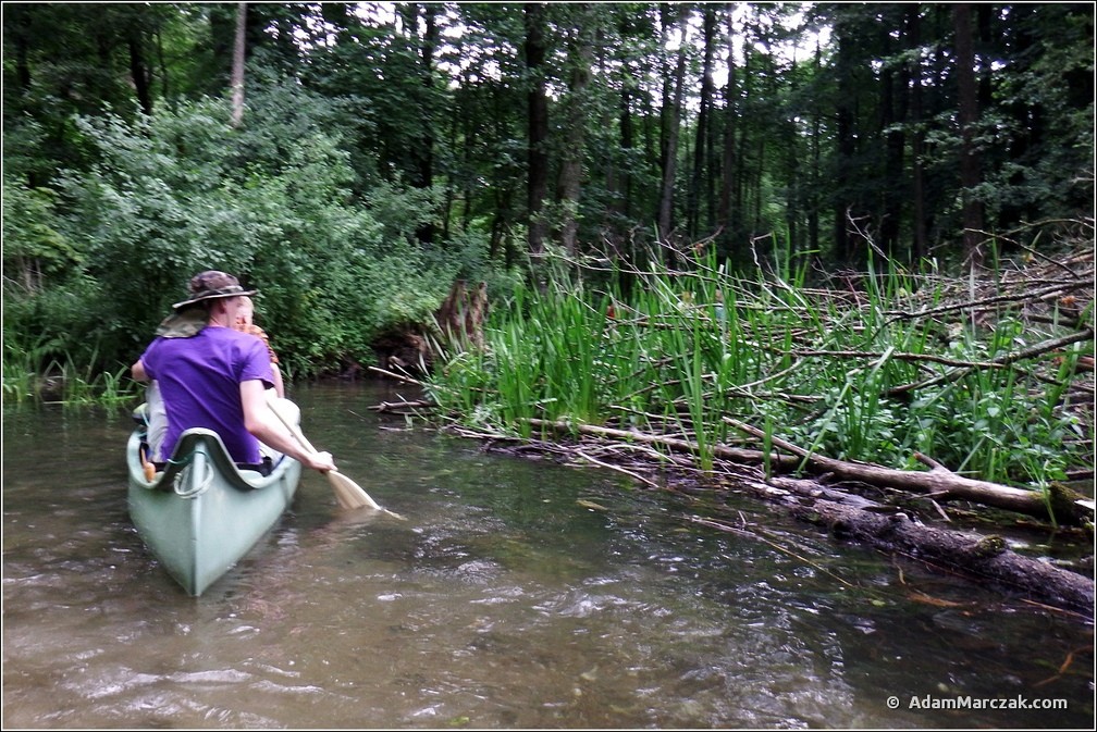 marshall mazury canoe 2016 0045