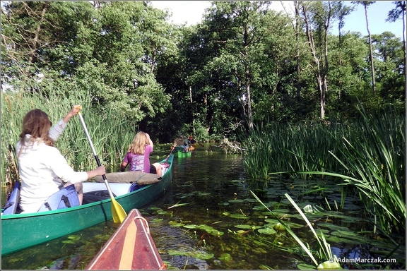 marshall mazury canoe 2016 0062