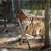 20170128 puszcza bolimowska spacer 0007